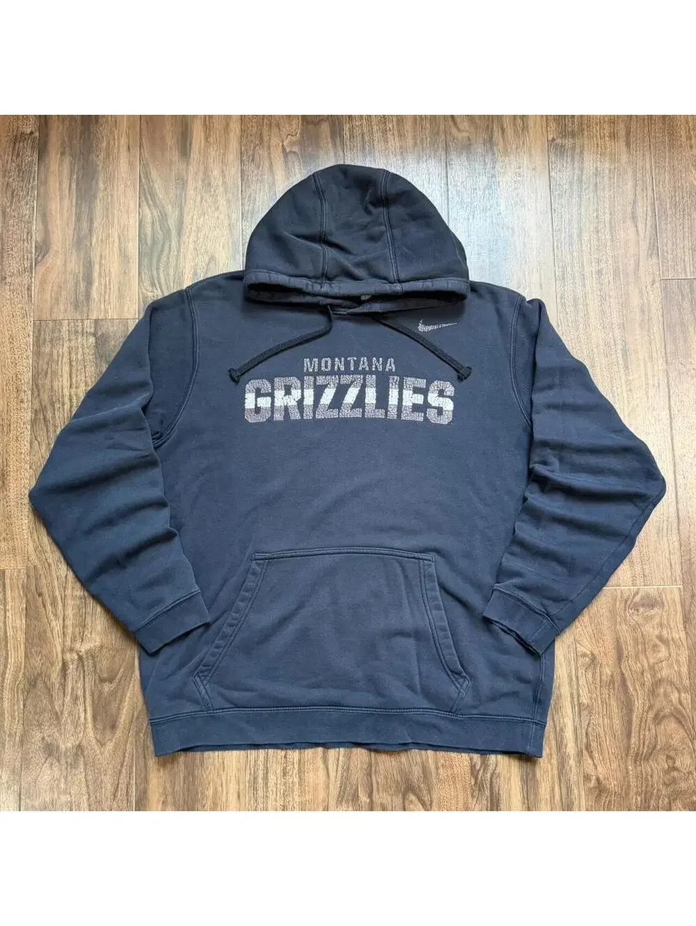 Y2K Montana University Grizzlies Nike Distressed Faded Hoodie Size Large